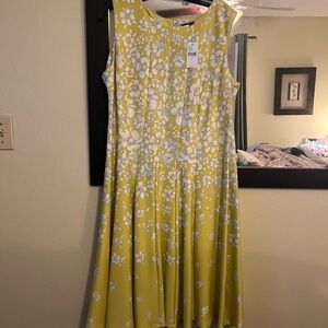 NWT Lane Bryant Fit & Flare dress